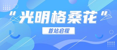 格桑花