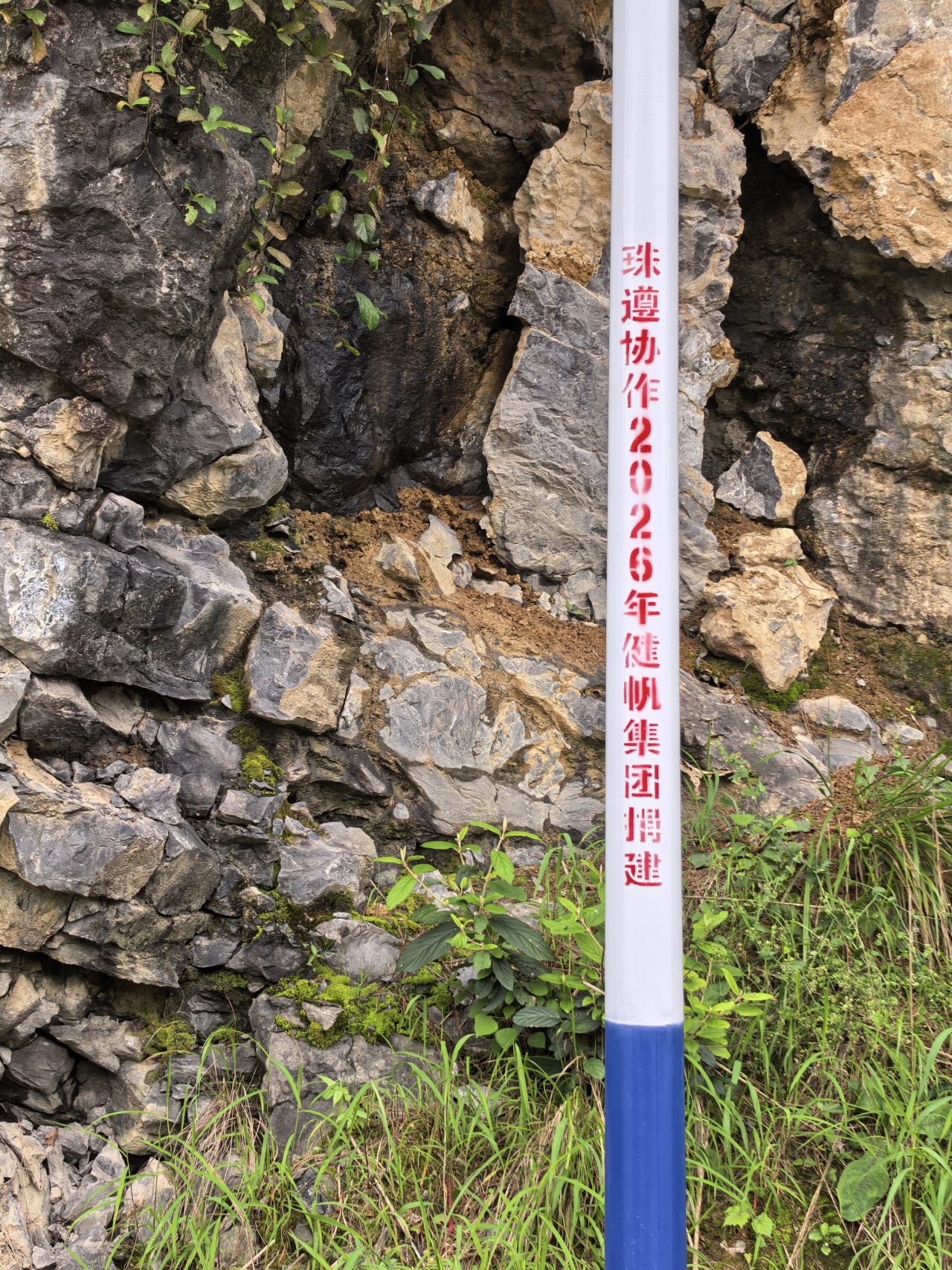 投注平台app