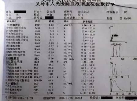 6402.webp.jpg