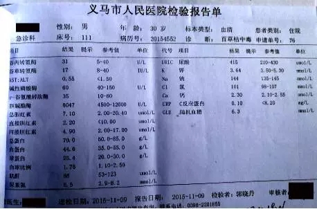6403.webp.jpg