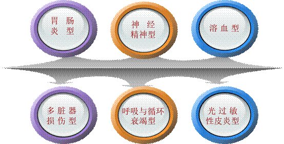 image010.gif
