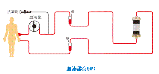 image026.gif