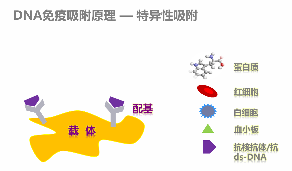 image001.png
